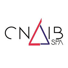 Confédération Nationale Artisanale des Instituts de Beauté et Spas